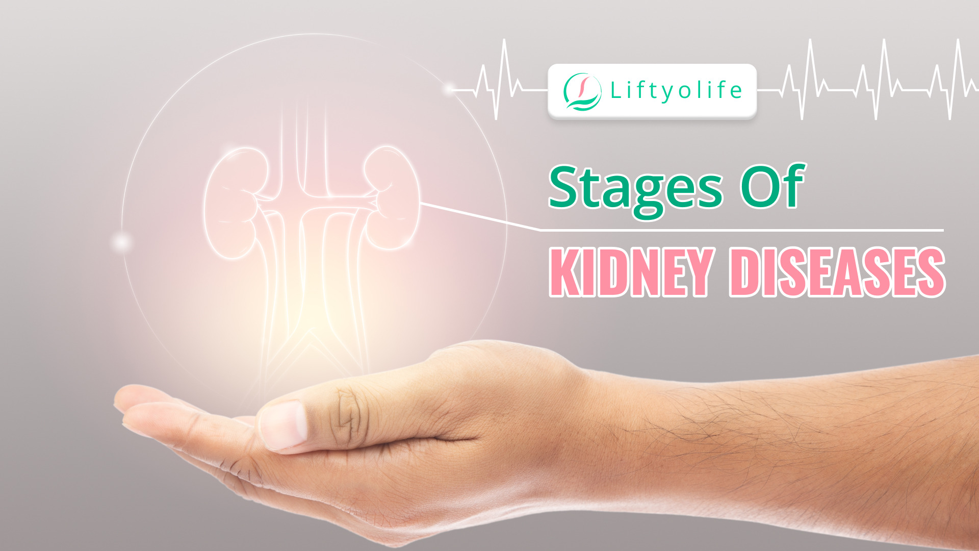 Stages Of Kidney Disease