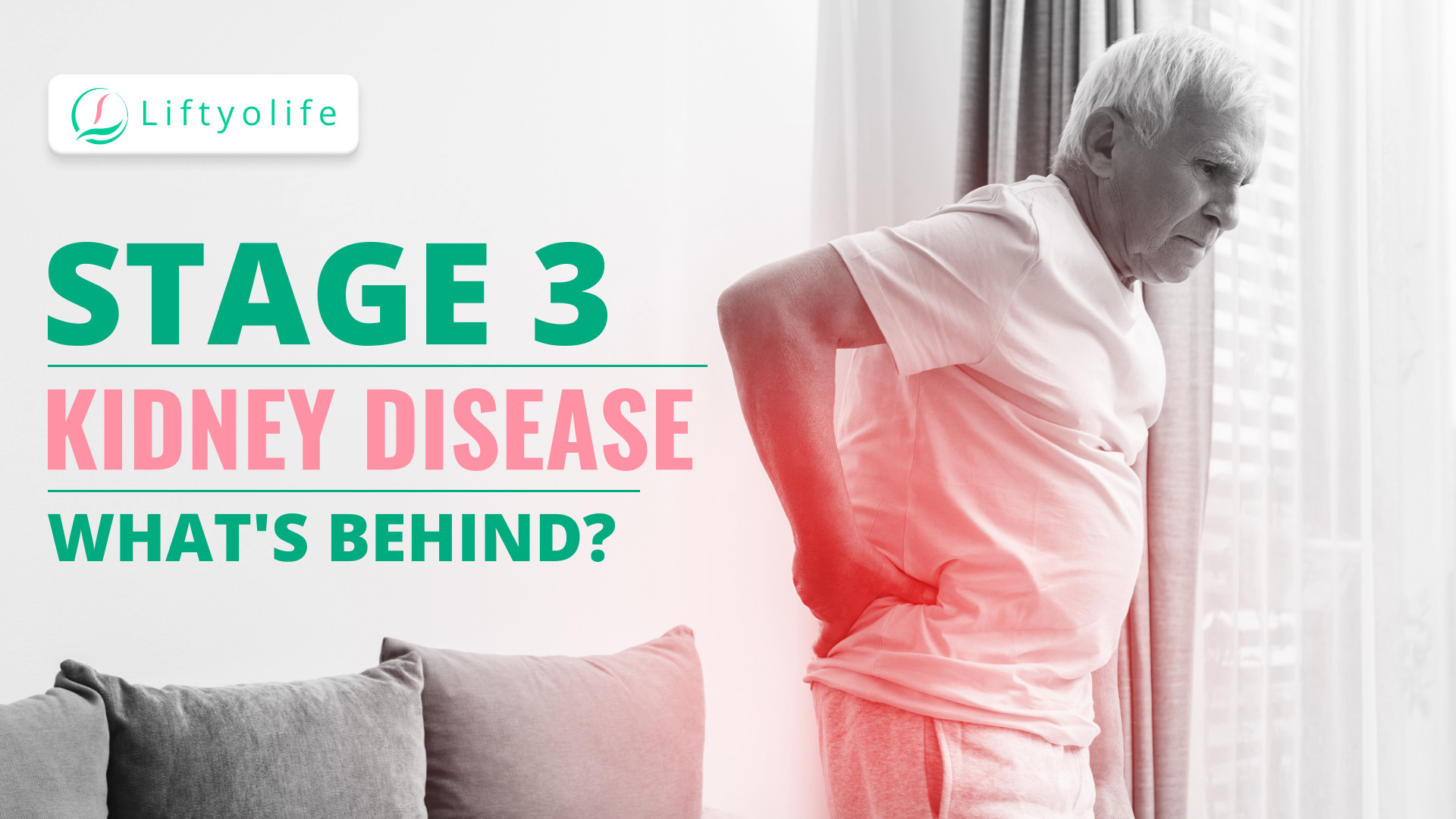 Stage 3 Kidney Disease: Symptoms & Treatment