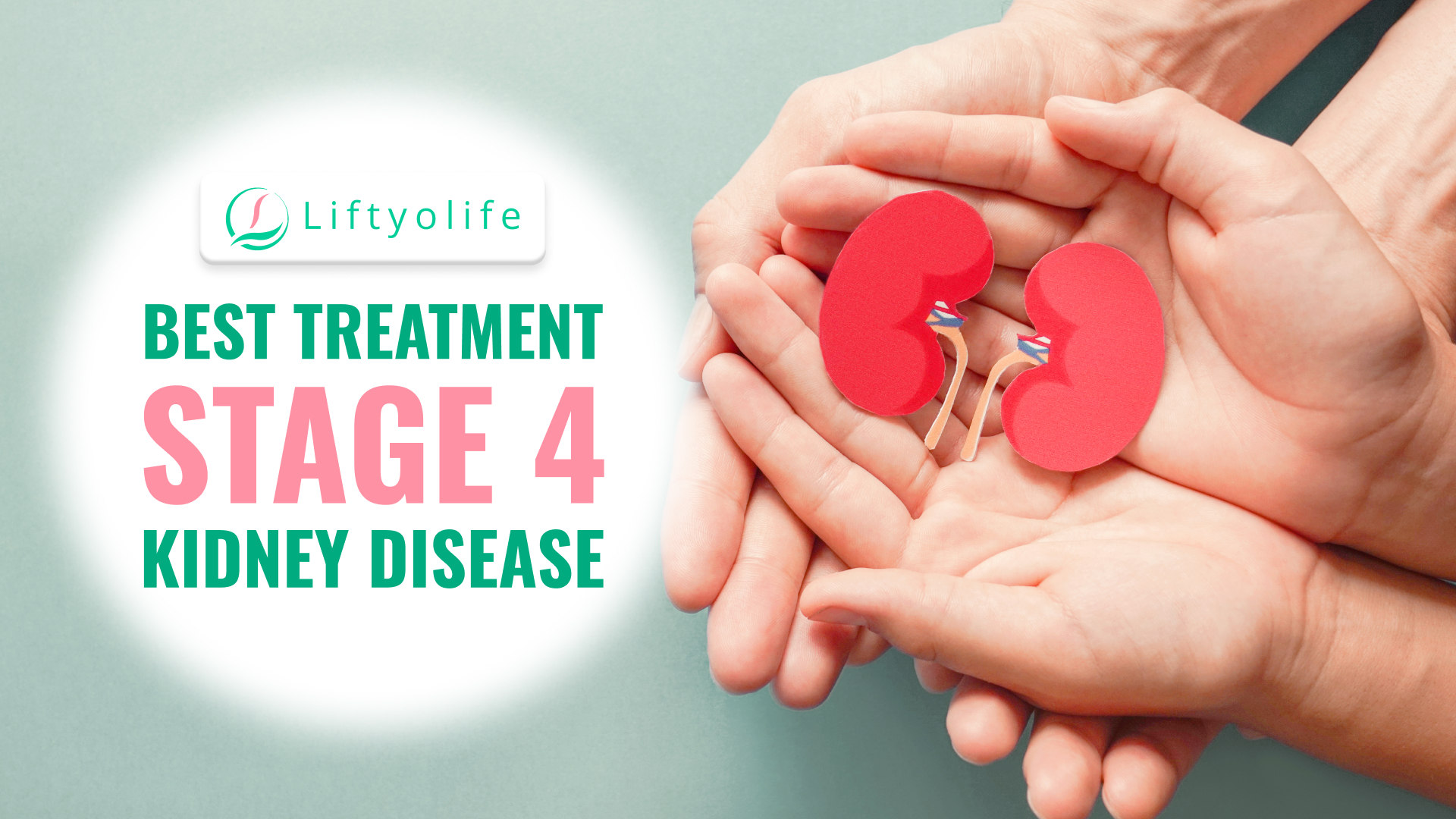 Stage 4 Kidney Disease Symptoms Treatment Liftyolife