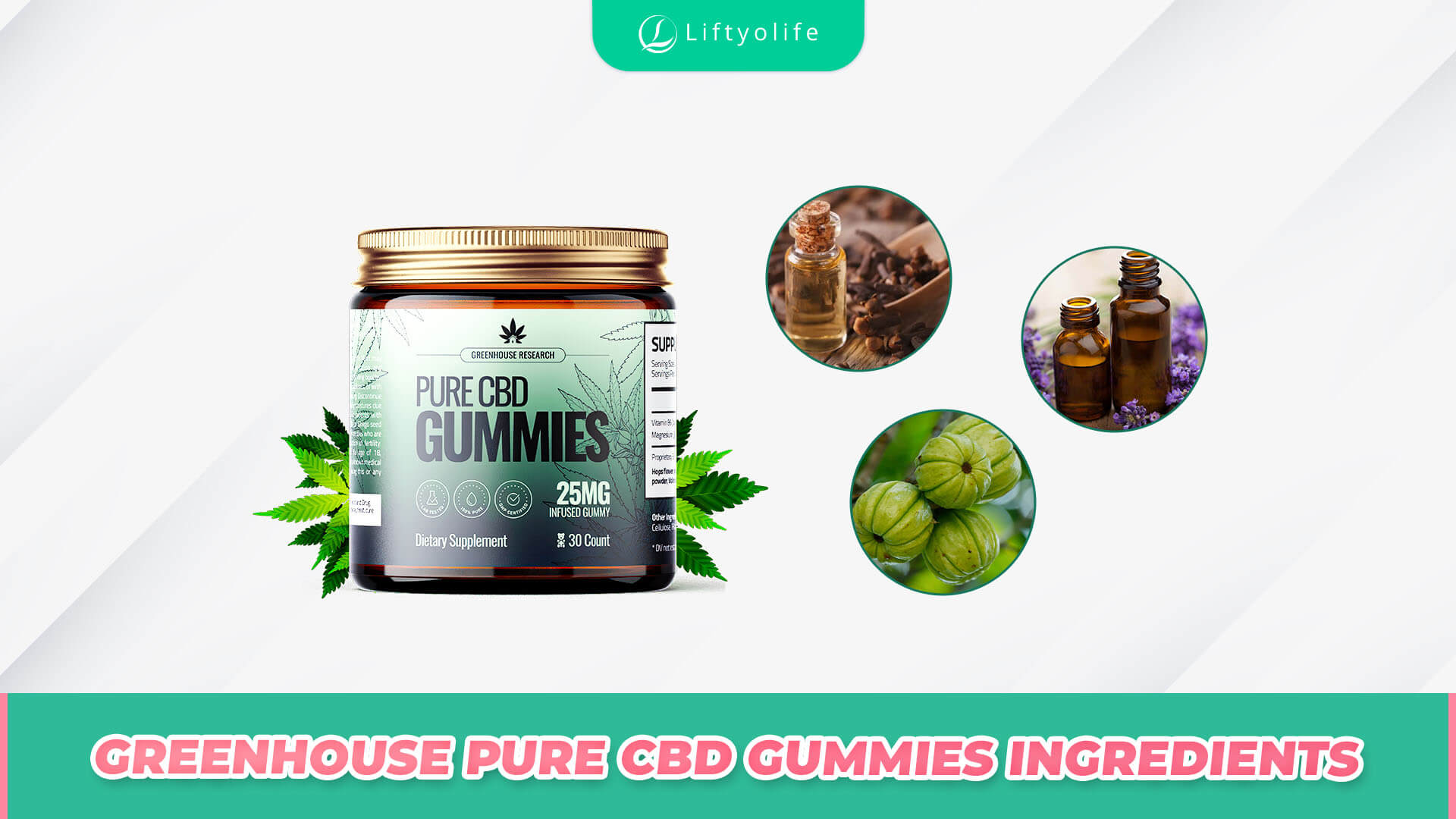 The Ingredients Of Greenhouse Pure CBD Gummies