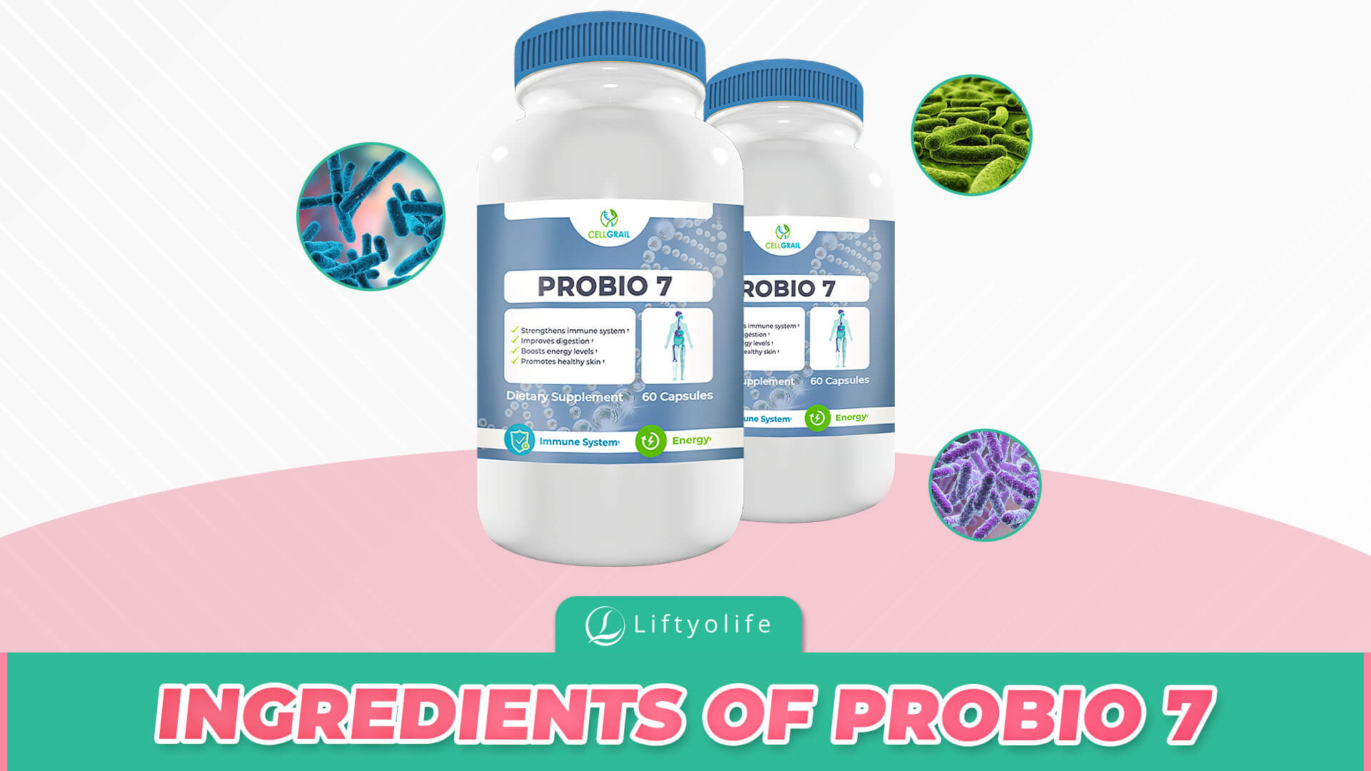 What Are The Ingredients Of Probio 7?