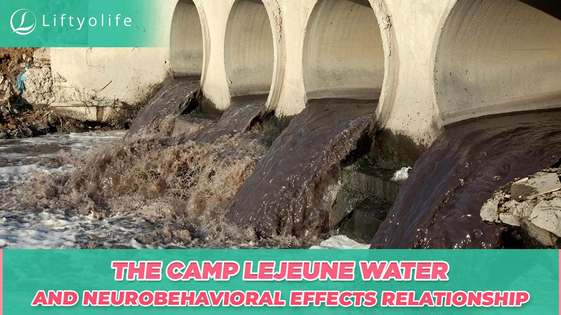 The Relationship Between Camp Lejeune Water and Neurobehavioral Effects